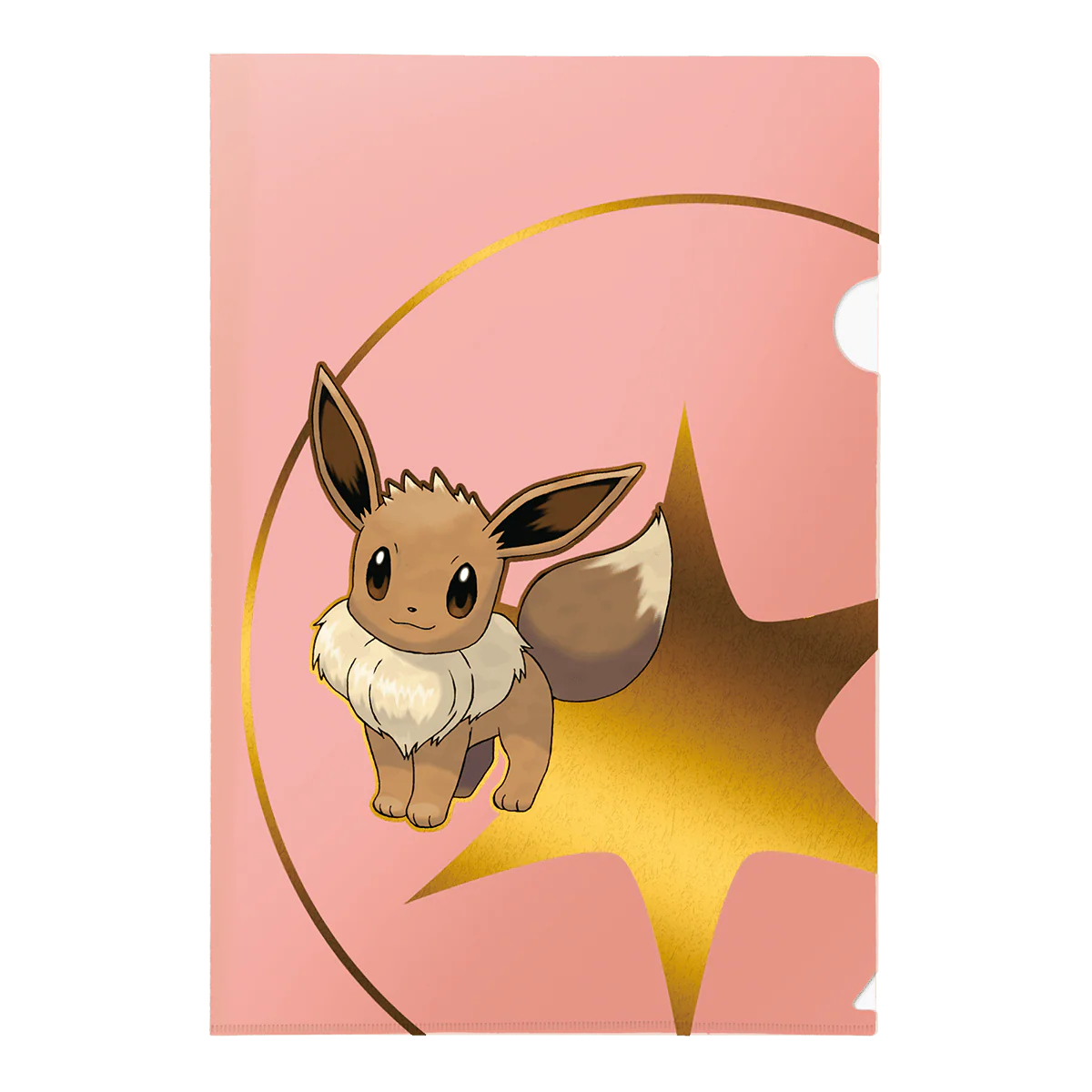 Pokémon Tournament Folios 3 Pack - Psyduck, Eevee, and Dragonite - Image 3
